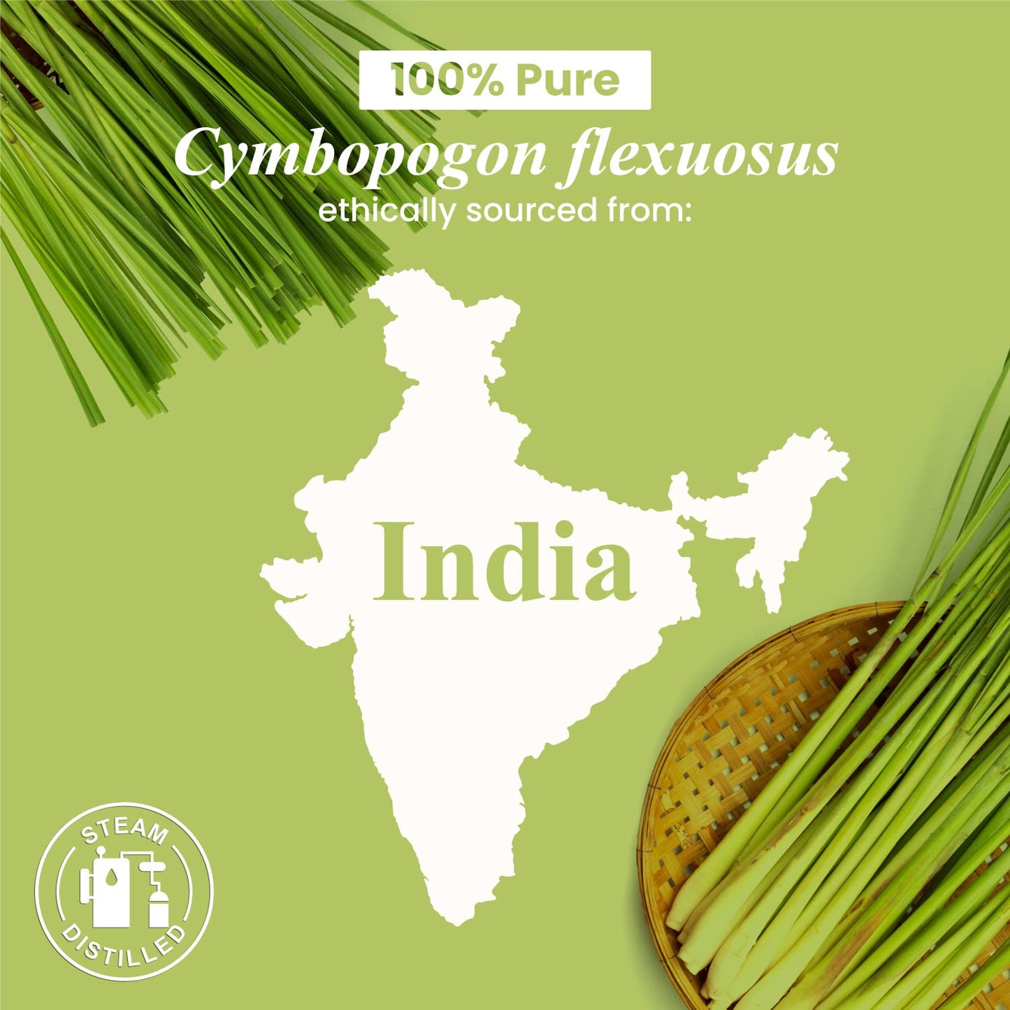 Frankincense Essential Oil - Huge 4 Fl Oz - 100% Pure and Natural - Premium Grade Essential Oil for Diffuser and Aromatherapy