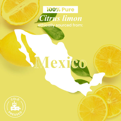 Frankincense Essential Oil - Huge 4 Fl Oz - 100% Pure and Natural - Premium Grade Essential Oil for Diffuser and Aromatherapy