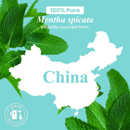 Frankincense Essential Oil - Huge 4 Fl Oz - 100% Pure and Natural - Premium Grade Essential Oil for Diffuser and Aromatherapy