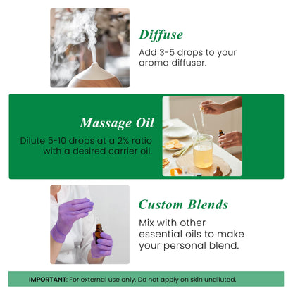 Frankincense Essential Oil - Huge 4 Fl Oz - 100% Pure and Natural - Premium Grade Essential Oil for Diffuser and Aromatherapy