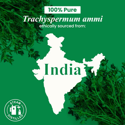 Frankincense Essential Oil - Huge 4 Fl Oz - 100% Pure and Natural - Premium Grade Essential Oil for Diffuser and Aromatherapy